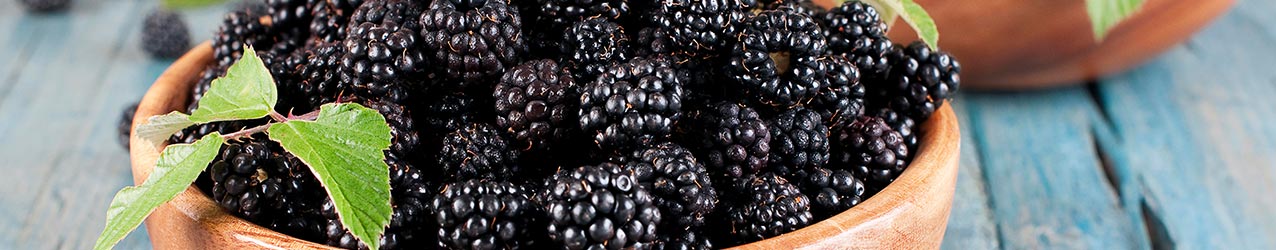 Br�nde, Schnaps und Lik�re mit Brombeere
