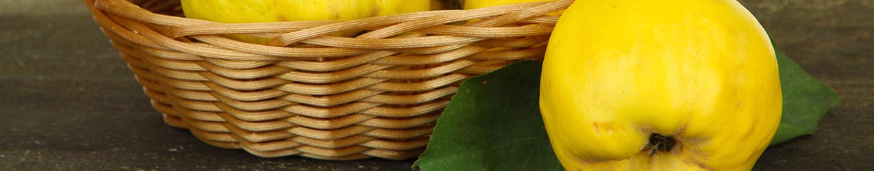 Edelbr�nde aus Quitten