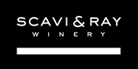 Scavi & Ray