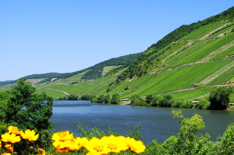 Obstler Anbaugebiet Mosel