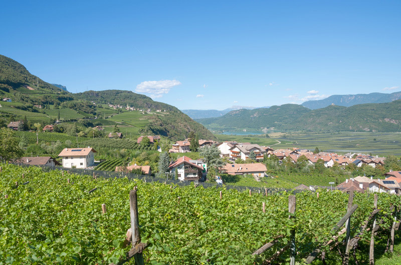 Obstler Anbaugebiet Tirol