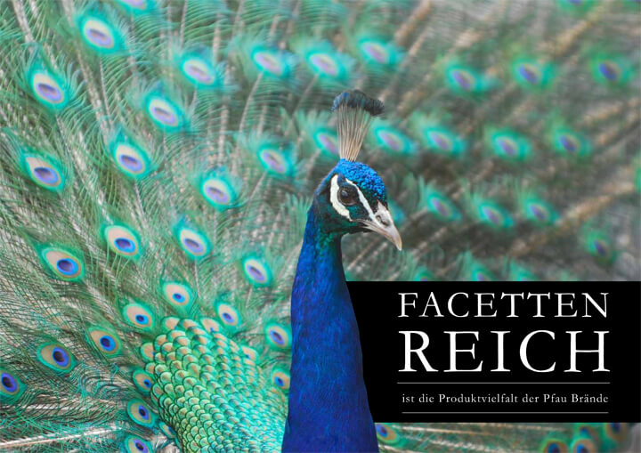 Pfau facettenreiche Qualität wundertoller Pfau