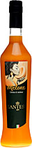 Santesi 1899 Melone Crema 0,5 Liter 17 % Vol.